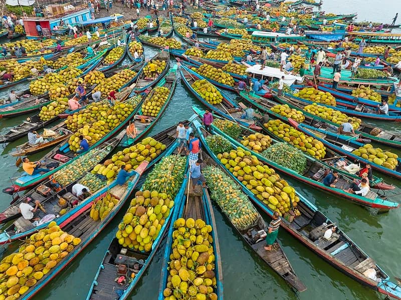 Frutas y verduras frescas de temporada en el puesto de un mercado