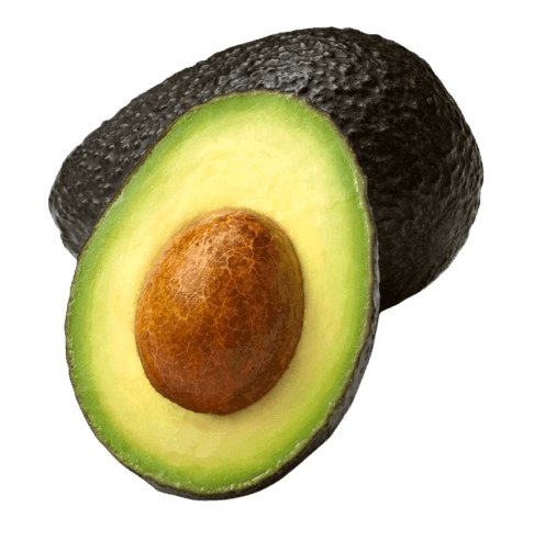 Aguacate Hass