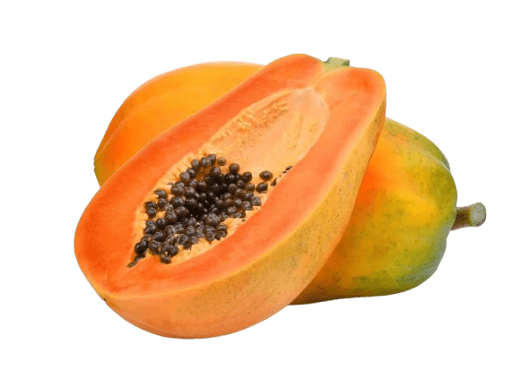 Papaya Maradol