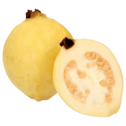 Guayaba