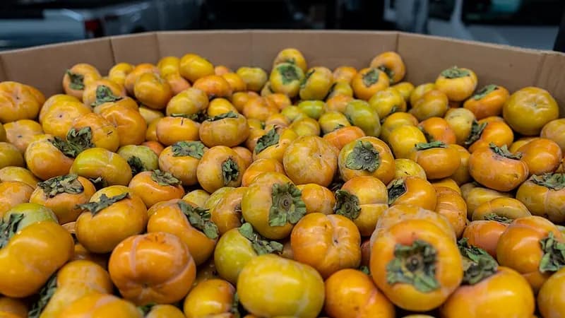 Frutas frescas en cajas del mercado para compra por mayoreo