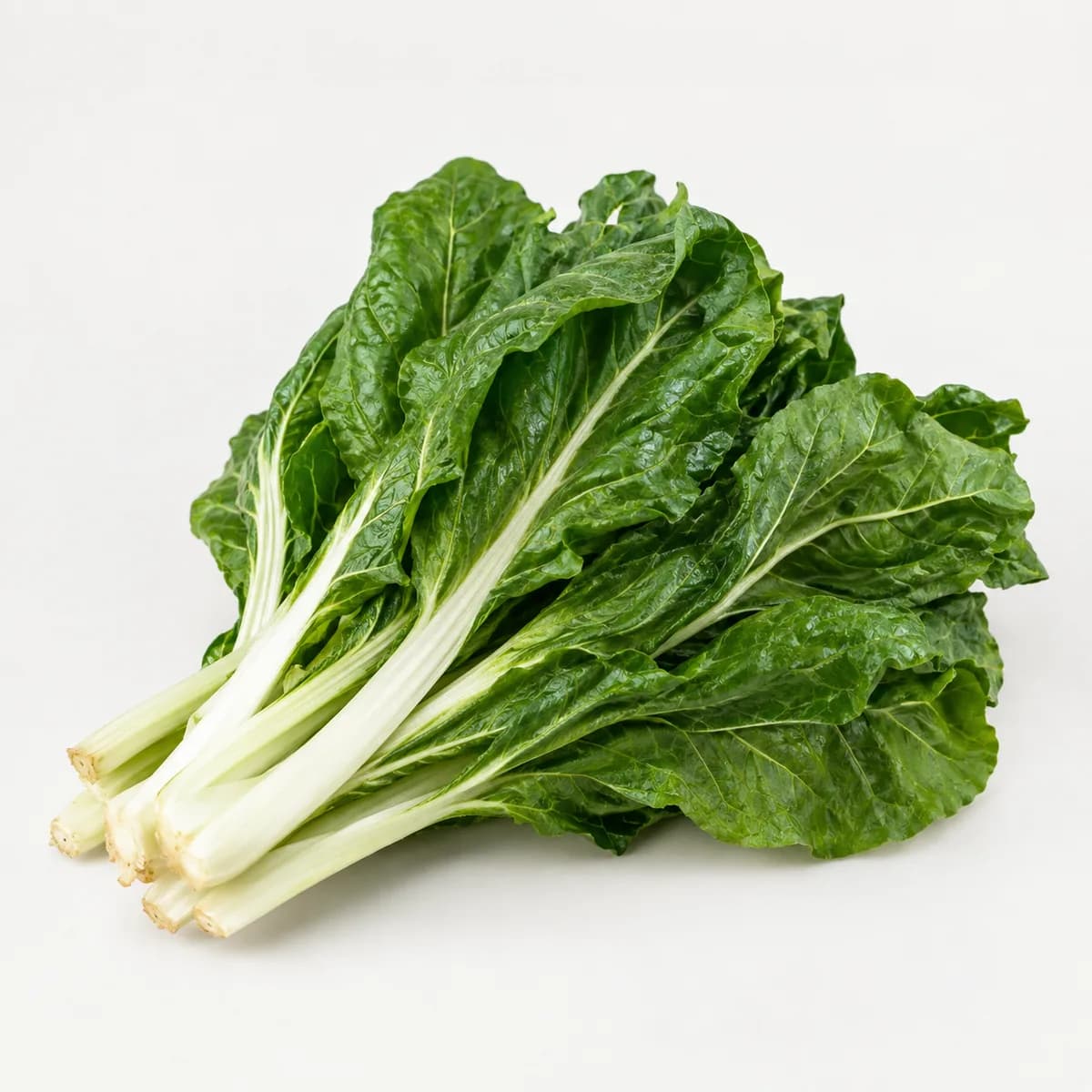 Acelga