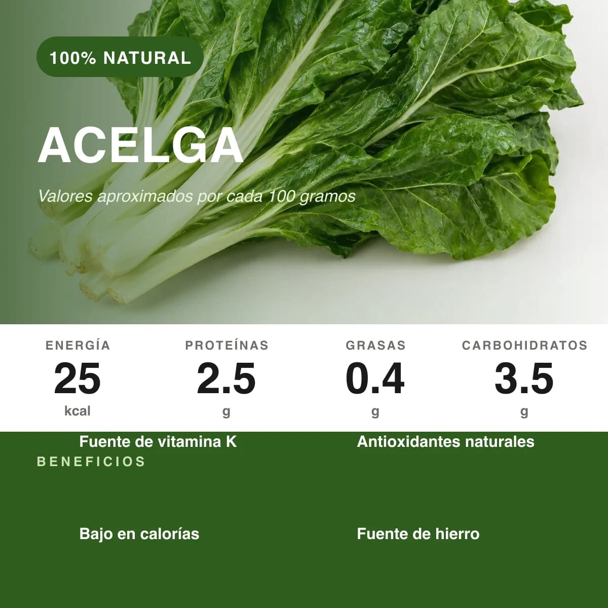 Acelga - vista 2