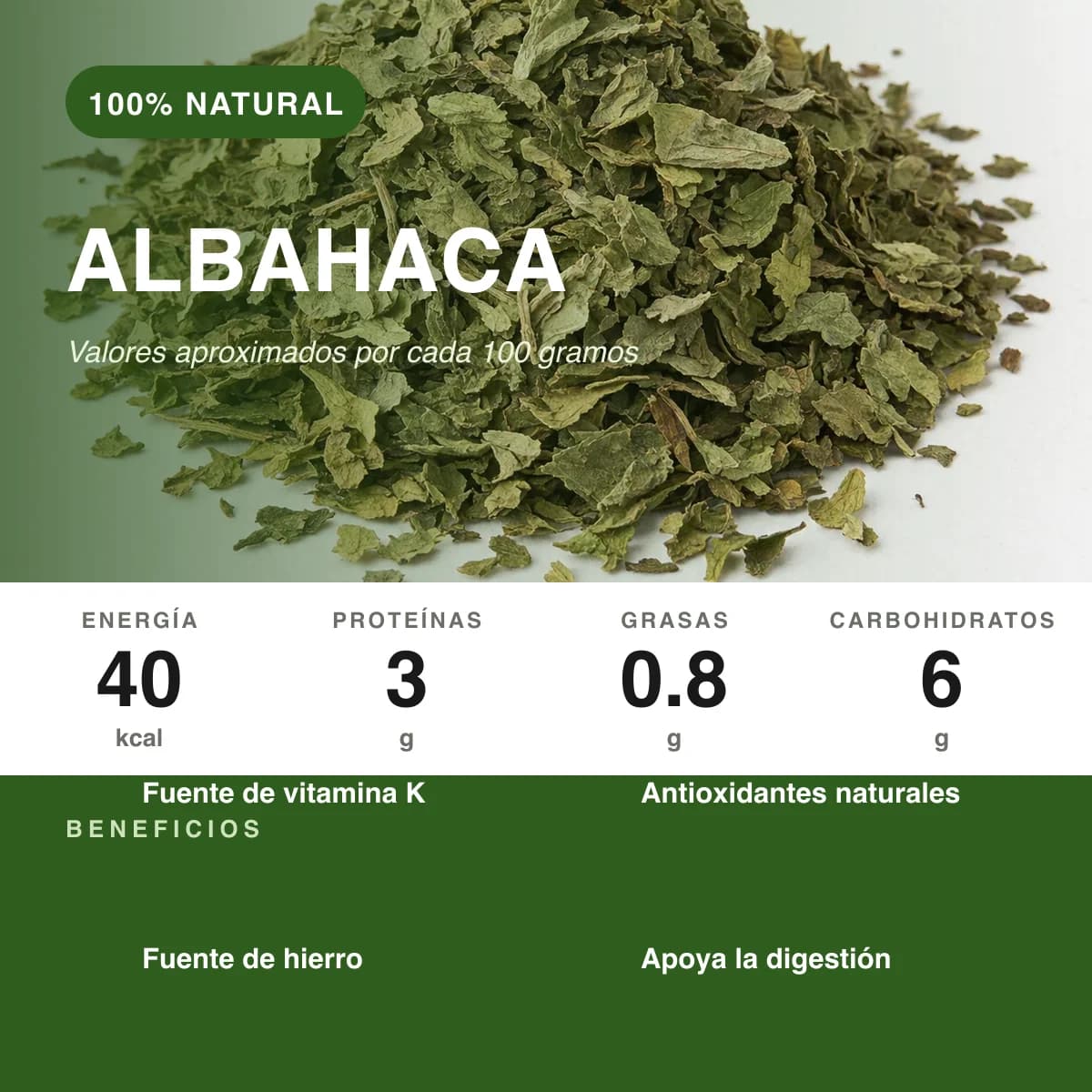 Albahaca - vista 2