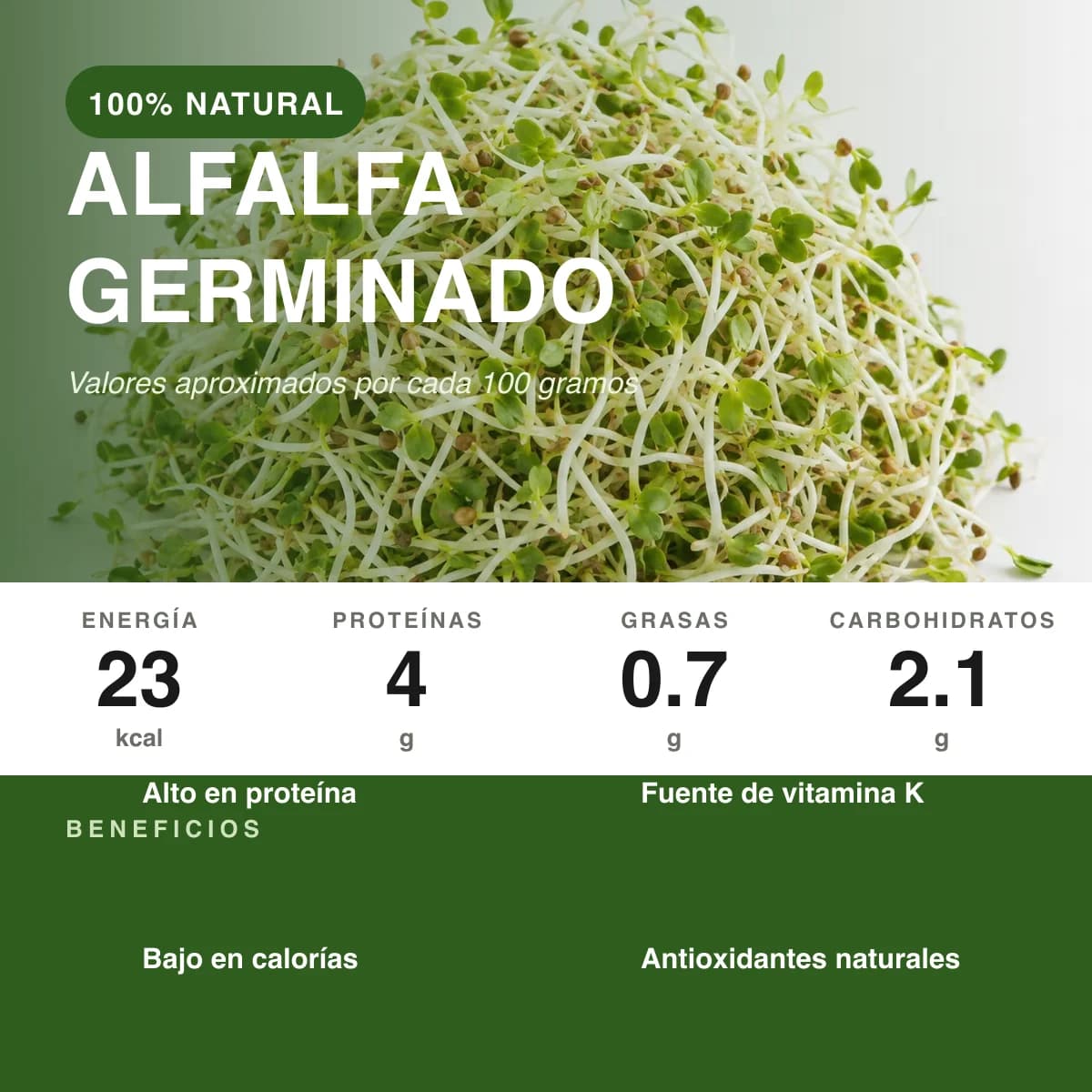 Alfalfa Germinado - vista 2
